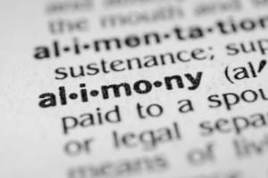 Increasing Numbers of Women are Now Paying Alimony and Child Support in Divorce