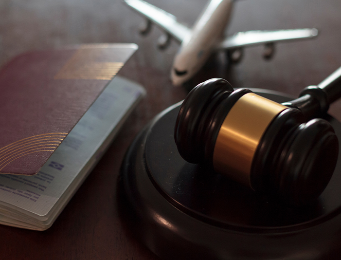 N-Lawful Immigration