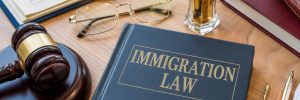 Legal Issues Associated with Detainment for Immigrants